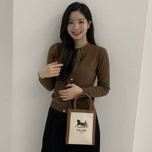 셀린느 마차 프린트 캔버스 버티컬 카바스백 미니 (다현 착용)