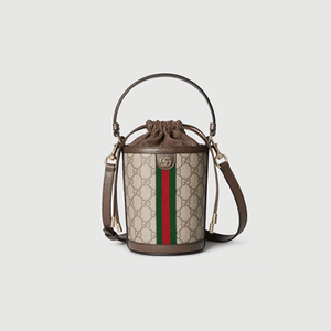 구찌 오피디아 미니 버킷 백 브라운 838462