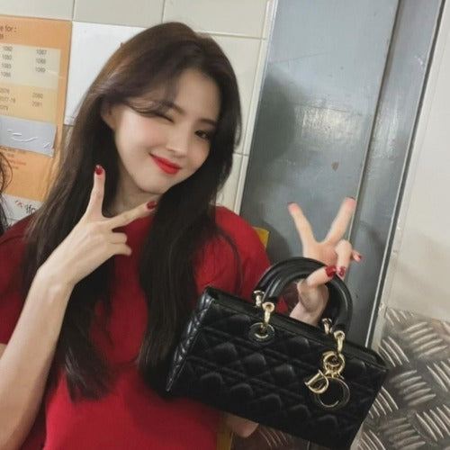 디올 레이디 디조이백 블랙 (한소희,지수 착용)